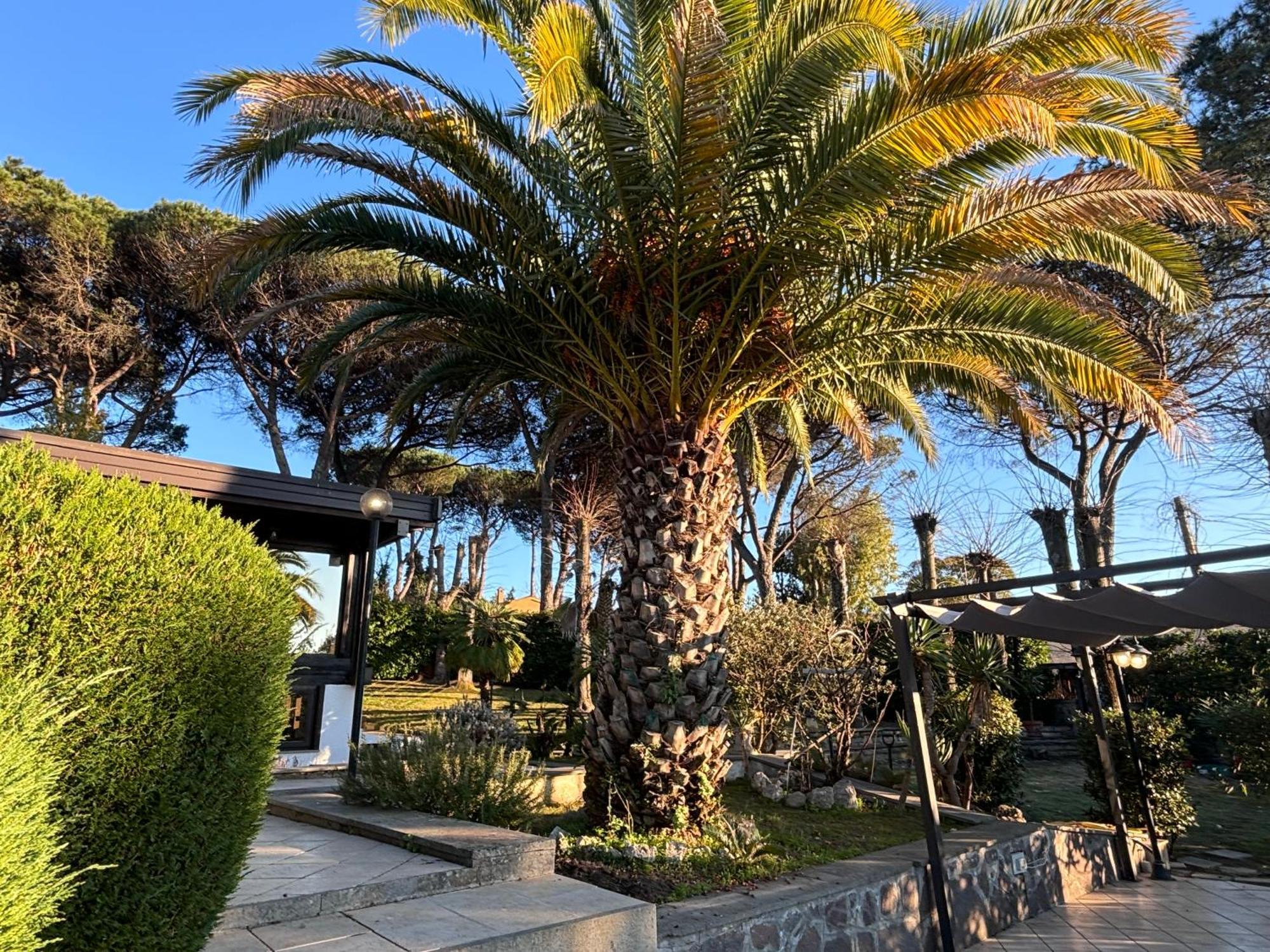 Villa Melita Gia Villa Marzia กัมปาญญาโน ดิ โรมา ภายนอก รูปภาพ